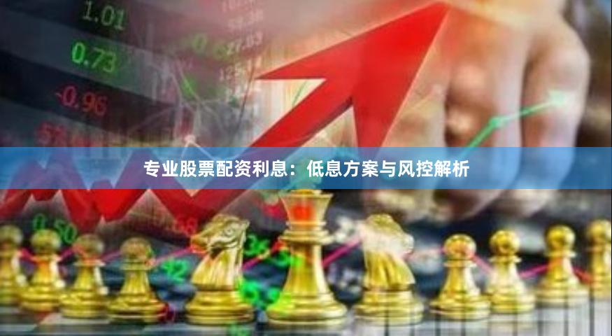 专业股票配资利息：低息方案与风控解析
